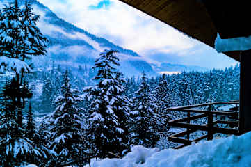 Photos of Alt Life - Manali