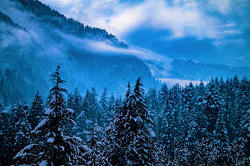 Photos of Alt Life - Manali