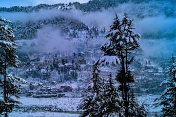 Photos of Alt Life - Manali