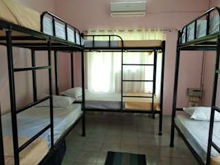 Fotos de Gibbon Backpackers Hostel