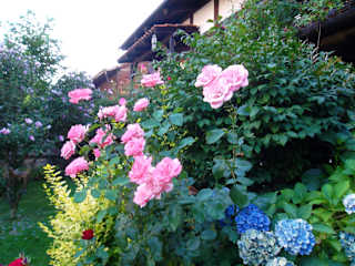 Photos of Krasiva Gradina Kushta