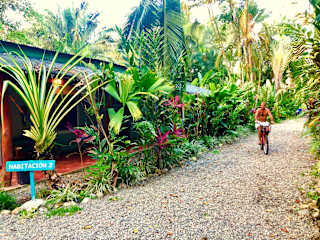 Photos of Tasty Dayz Hostel
