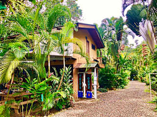 Photos of Tasty Dayz Hostel