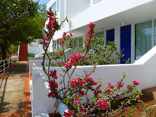 Photos of Marine Oasis Resort