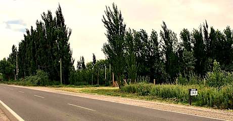 Fotos de