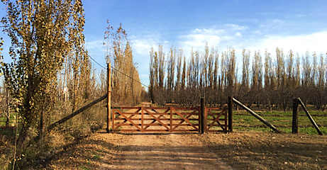 Fotos de