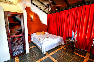 Photos of Casa Freud