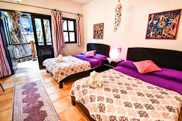 Photos of Casa Freud