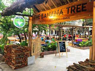 The Banana Tree Hostelの写真