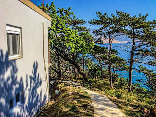 Photos of Big Yellow House Resort & Hostel