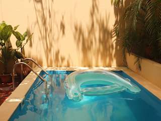 Pool House Hostel의 사진