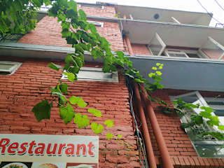 Photos of Beehive Hostel