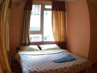 Photos of Beehive Hostel