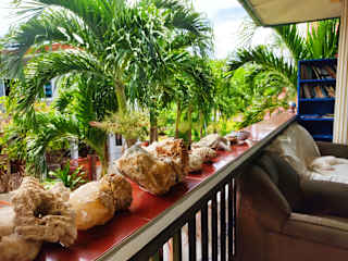 Photos of Riverside at Aninuan Accommodation and Food