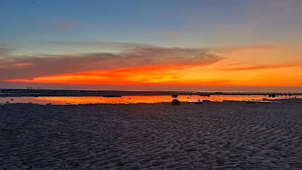 Foto di