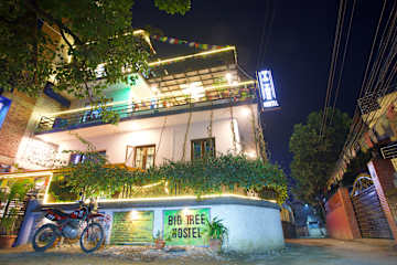 Photos of Big Tree Hostel
