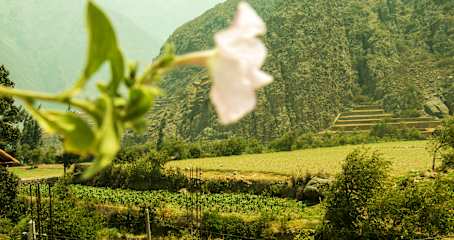 Fotos de Inka Khawarina Tambo Lodge