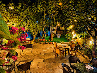 Birds Nest Hostel의 사진