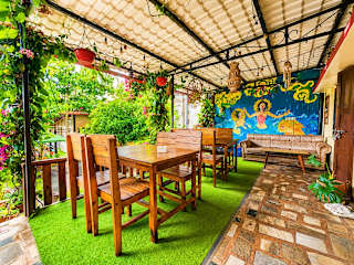 Birds Nest Hostel의 사진