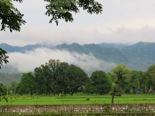 Photos of Ranakpur Nature Retreat