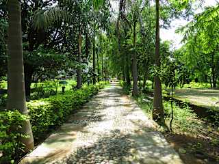 Photos of Ranakpur Nature Retreat