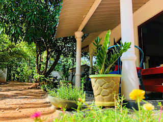 Dambulla City Hostel의 사진