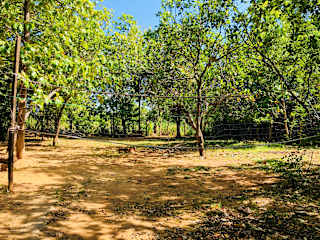 Dambulla City Hostel의 사진