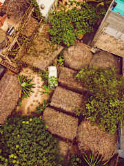Foto di 