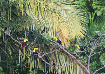 Foto di