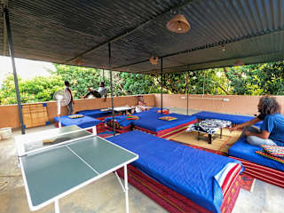 Photos of Jungle by sturmfrei Gokarna