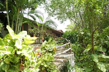 Photos of La Buena Vista