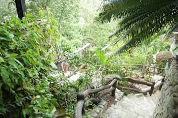 Photos of La Buena Vista