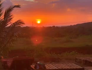 Photos of Wild Flower Hostel
