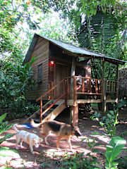 Parrot Nest Lodgeの写真