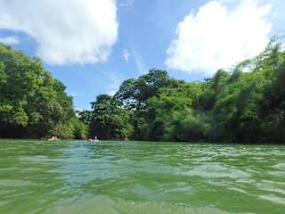 Parrot Nest Lodgeの写真
