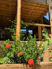 Photos of La Percha Hostel