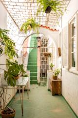 Photos of Chez Zany - Santa Teresa
