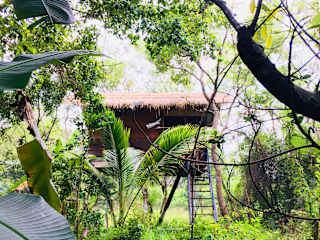 Tree House Hostel Sigiriyaの写真