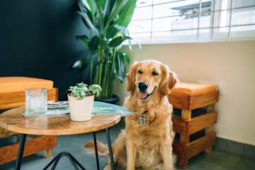 Photos of Founder Startup House
