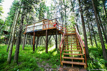 Fotos de Sven's Basecamp Hostel