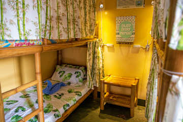 Fotos de Seaview Hills - Backpackers Place Bohol