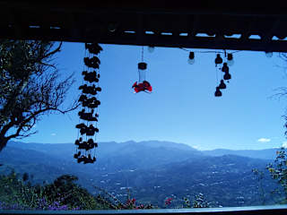 Foto di