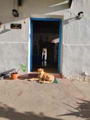 Photos of Onda Verde Hostel
