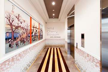 Photos of Wild Cherry Blossom-HOSTEL,TOKYO KOGANEI-