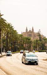 Photos of Urban Hostel Palma