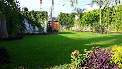 Fotos de
