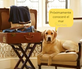 Fotos de