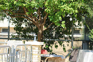 Foto di 