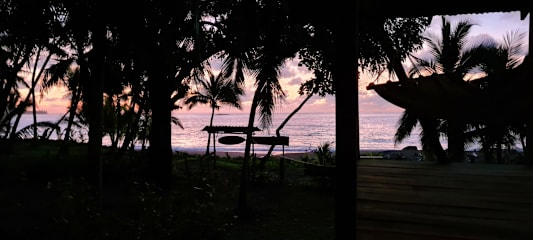 Photos of Life for Life Hostel Drake Bay