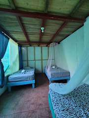 Photos of Life for Life Hostel Drake Bay